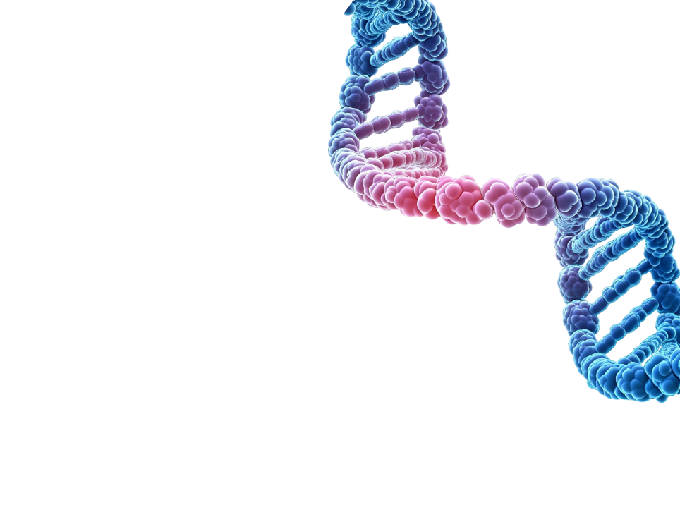 Natural-Looking Results